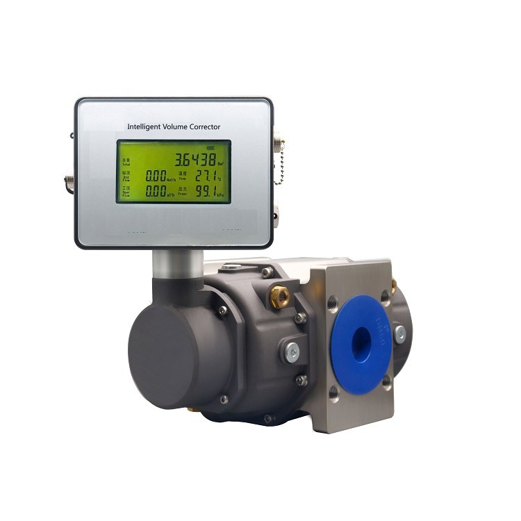 Roots Flowmeter For Gas